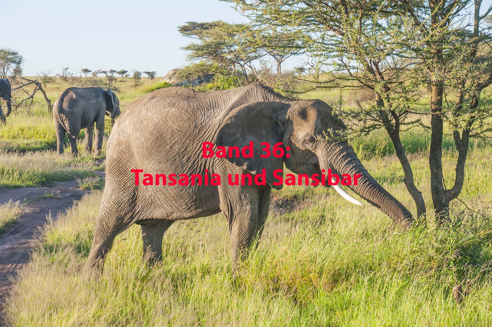 Afrika – Tansania und Sansibar