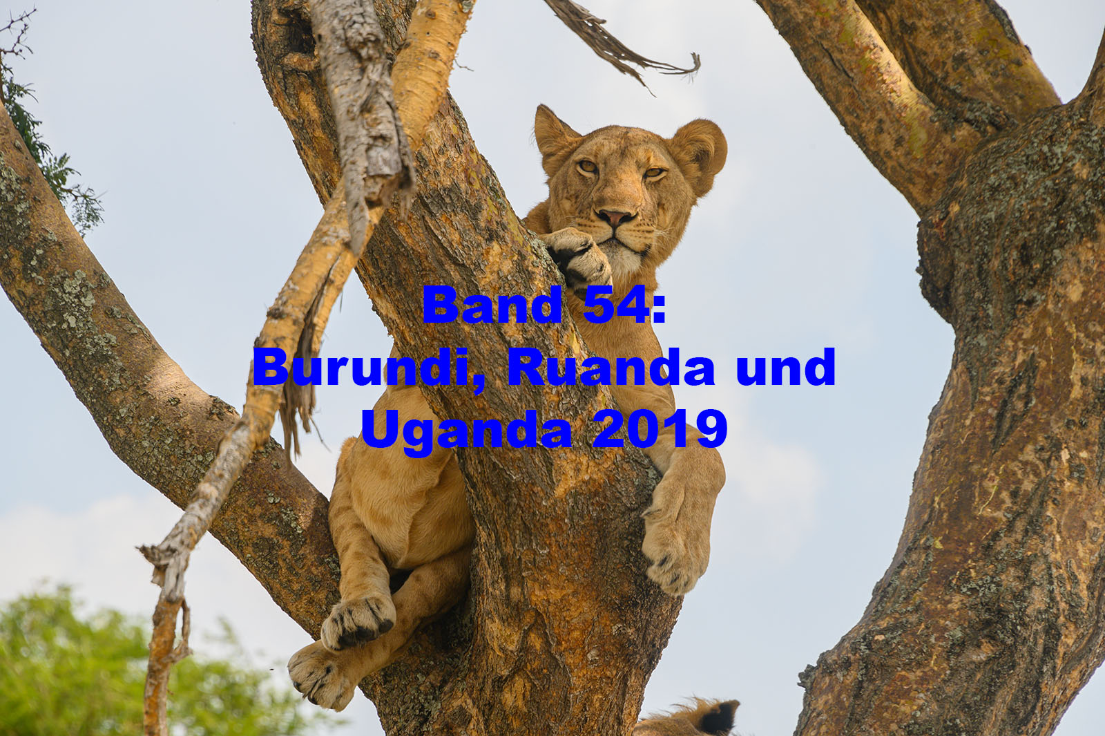 Geschützt: Afrika: Burundi, Ruanda und Uganda